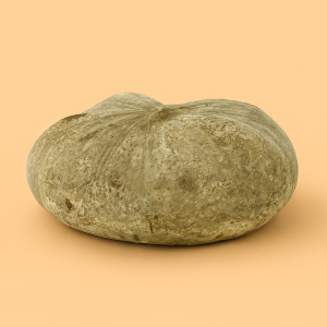 QUESO MADURADO ECO DE CABRA SERVILLETA