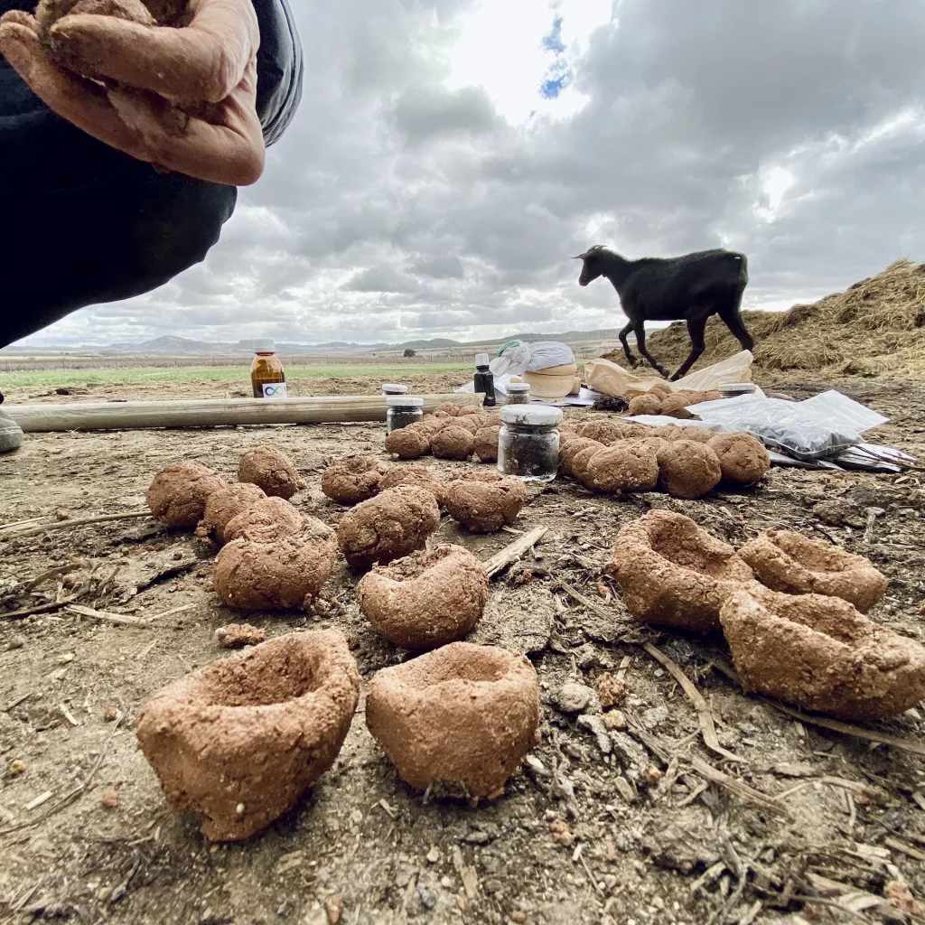 Quesos Cerrón - QuesosCerron biodinamico 6 2 jpg