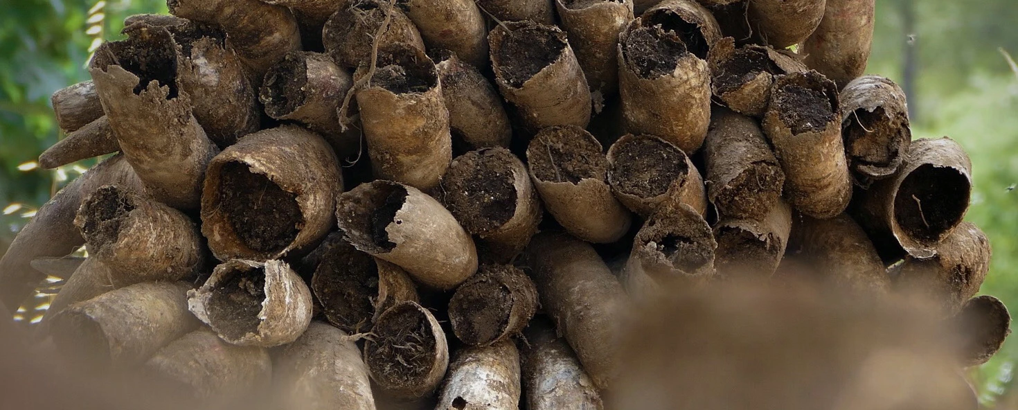 Quesos Cerrón - QuesosCerron biodinamico 7 jpg