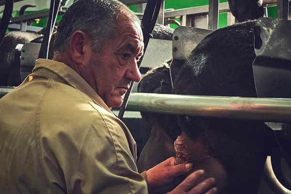 Quesos Cerrón - Quesos Cerron Slide 2